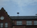 DSCI0006.JPG